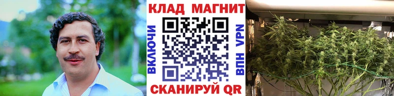 Где найти наркотики Фрязино АМФЕТАМИН  КОКАИН  A-PVP  МЕТАМФЕТАМИН  Каннабис  ГАШИШ 
