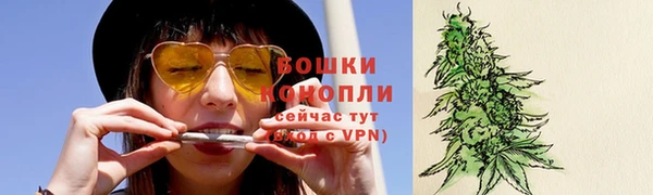 бошки Протвино