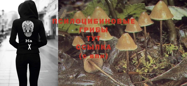 мдма Приозерск