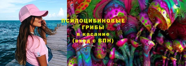 бошки Протвино