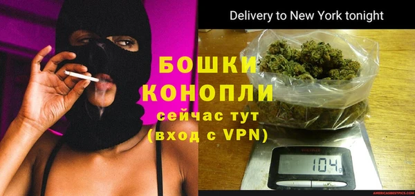 PSILOCYBIN Гатчина