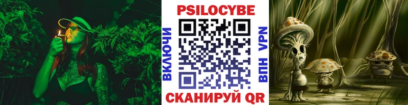 Галлюциногенные грибы Magic Shrooms  OMG рабочий сайт  Фрязино 