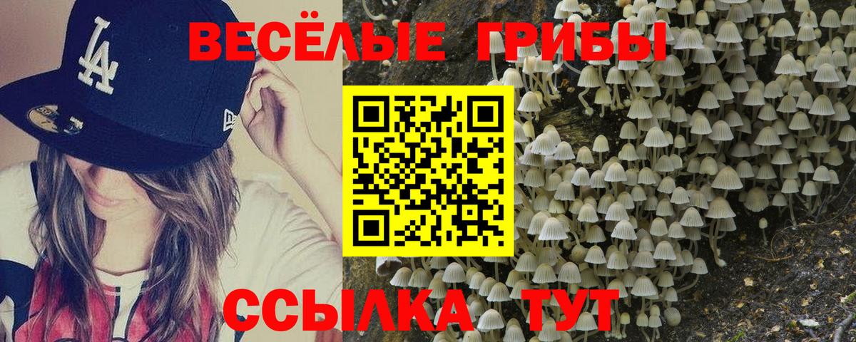Галлюциногенные грибы прущие грибы  Галлюциногенные грибы прущие грибы  Фрязино  Вход с VPN 