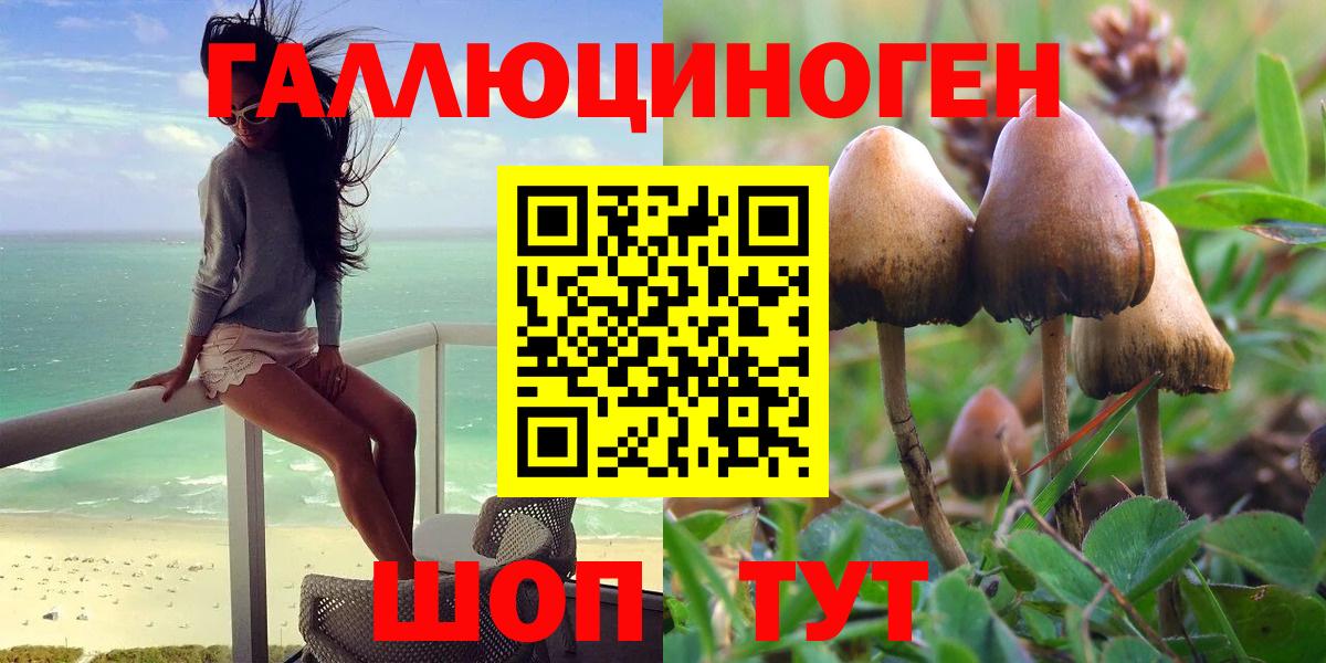 Галлюциногенные грибы Magic Shrooms Фрязино